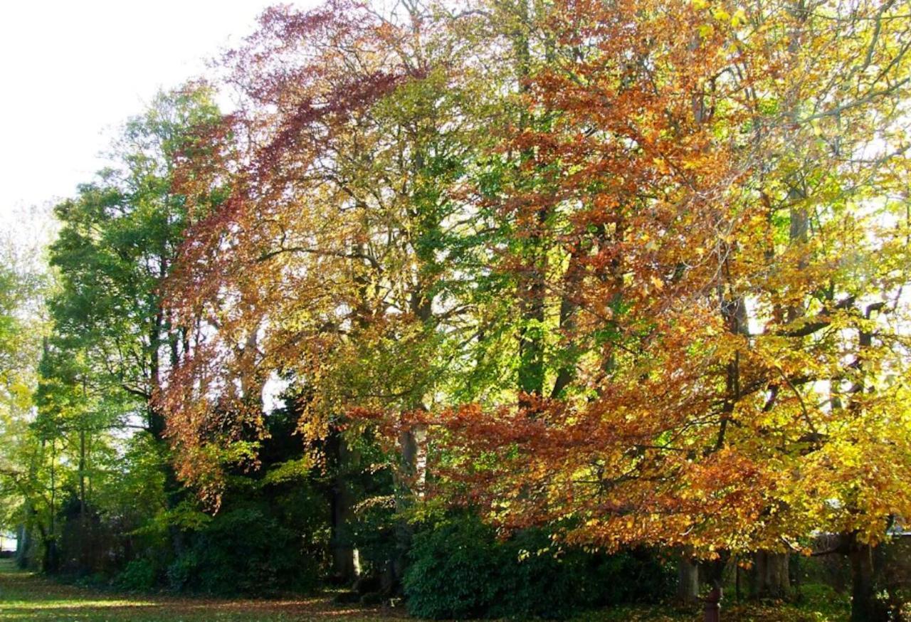 Maison Charmante A Ryes Avec Jardin Clos Et Acces Pmr Exteriér fotografie